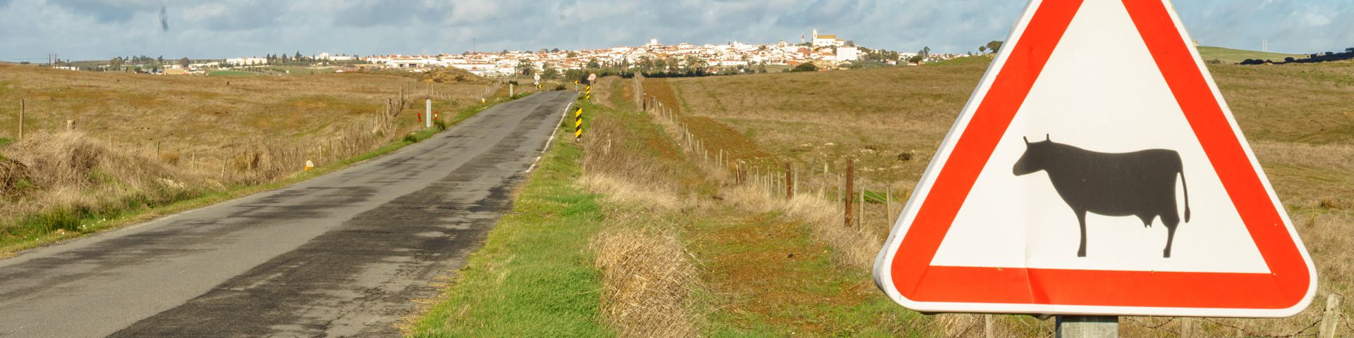 Autofahren in Portugal – Freud und Leid auf portugiesischen Straßen