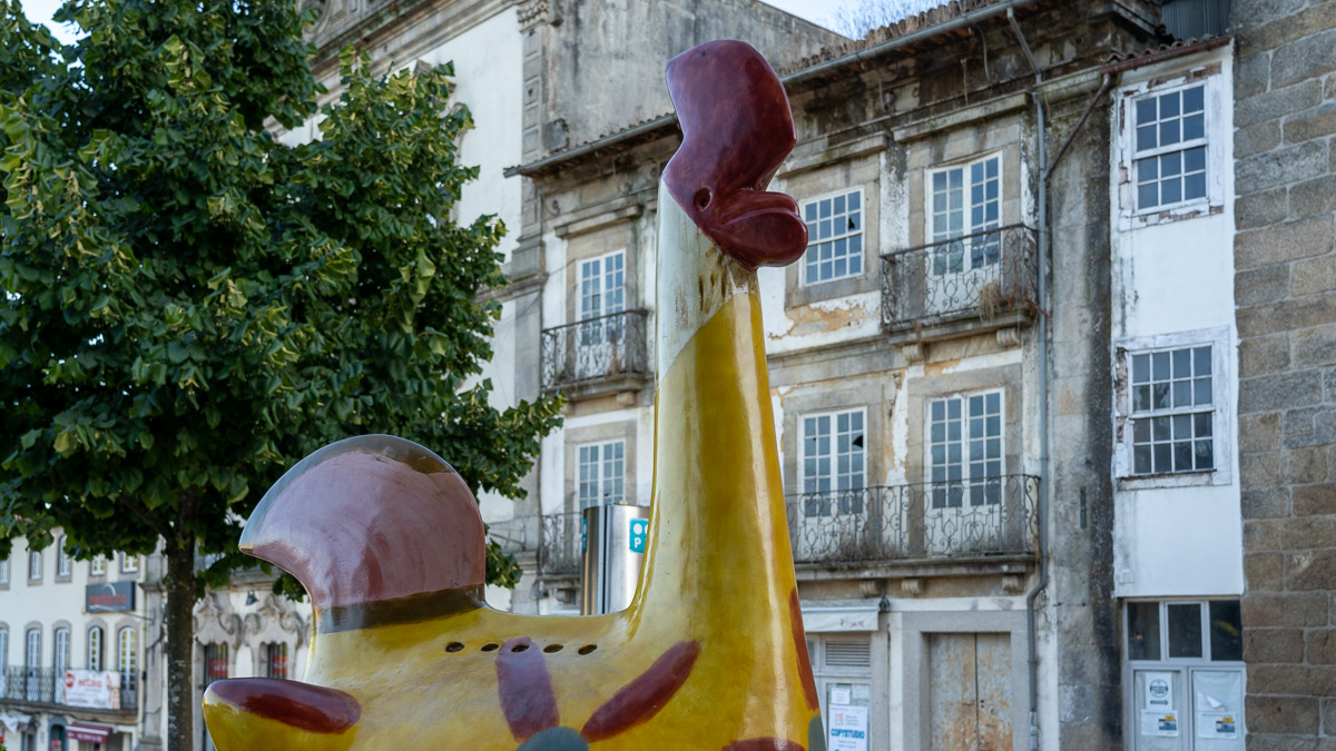 Gelber Galo des Barcelos