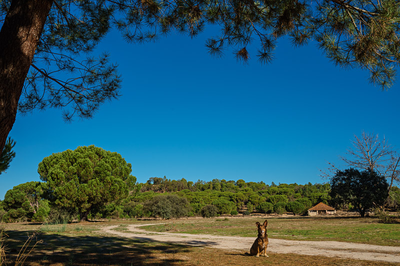 bilder aus portugal