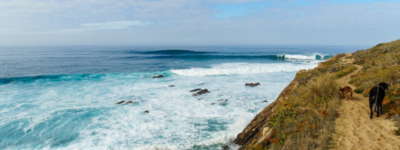 Fischerpfad - Rota Vicentina - Milfontes