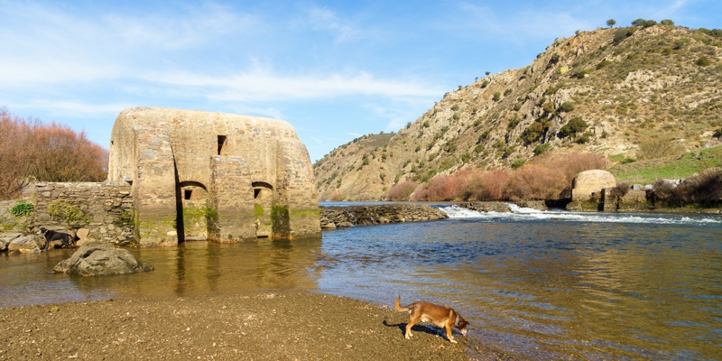 Praia Fluvial von Mertola