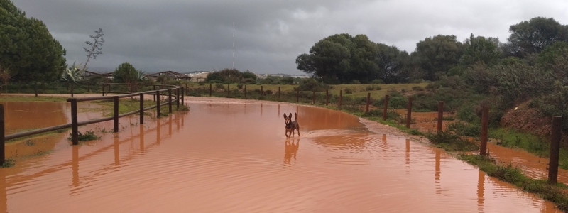 Verkehr Portugal Autofahren bei Regen