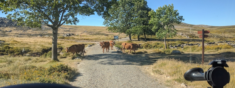 Verkehrslage Portugal