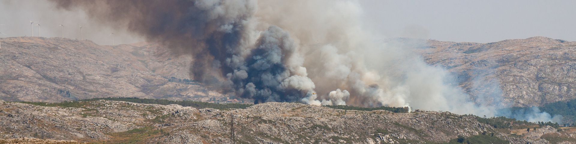 Waldbrände in Portugal | Ursachen + Folgen
