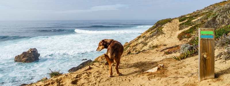 Wandern mit Hund Fischerweg Portugal